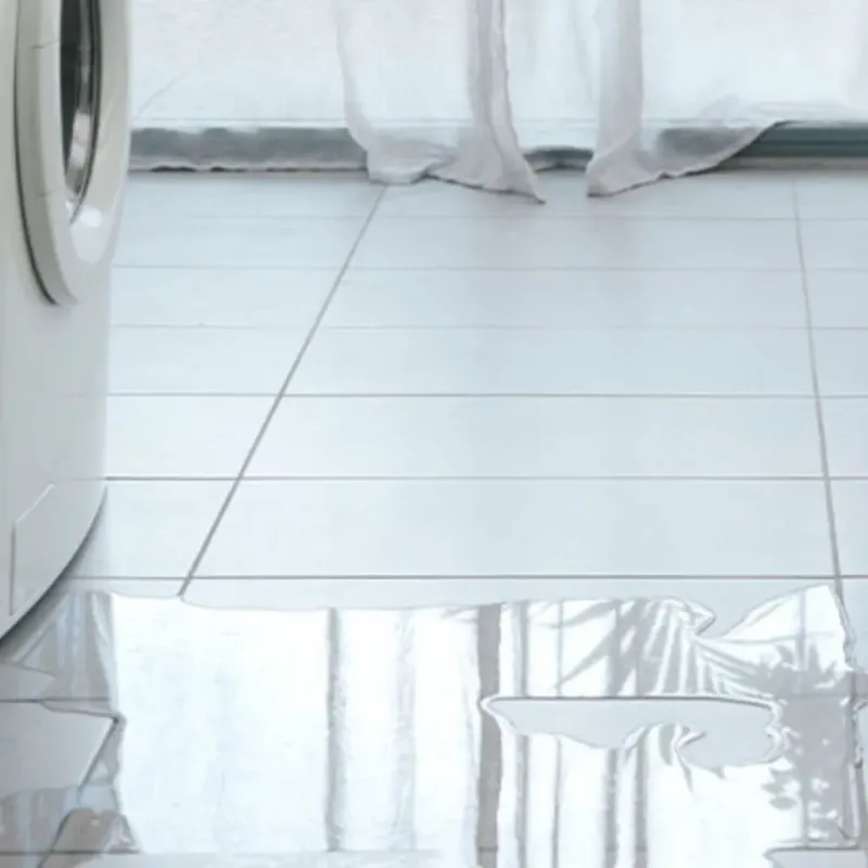 Appliance Leak Cleanup in North Portland, OR