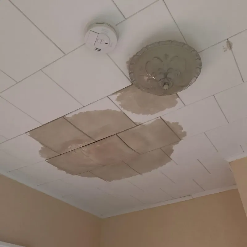 Ceiling Water Damage Repair in North Portland, OR