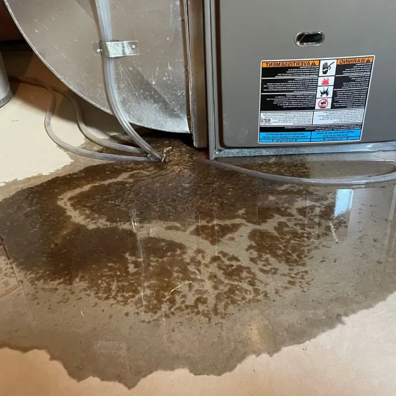 Pipe Burst and Leak Restoration in North Portland, OR